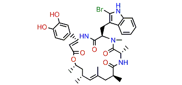 (R)-Jasplakinolide W